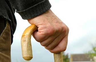 Ana Claudia Goncalves Contreira - Foto 1