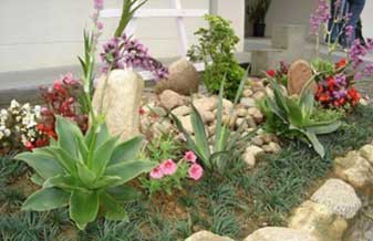 A G Gramados e Jardinagem - Foto 1