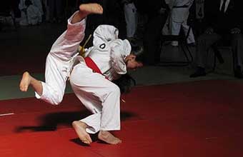 Academia Central de Lutas Sensei Fernando Banhara - Foto 1