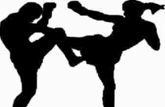 Muay Thai Feminino Taubaté - Foto 1