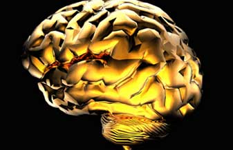 Neuroclin Neurologia Clinica Integrada - Foto 1