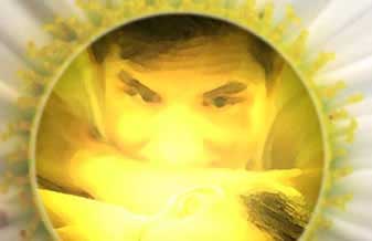 Seicho-No-Ie Brasil - Foto 1