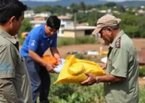 Ajuda Humanitária Taubaté