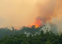 queimada em Taubaté