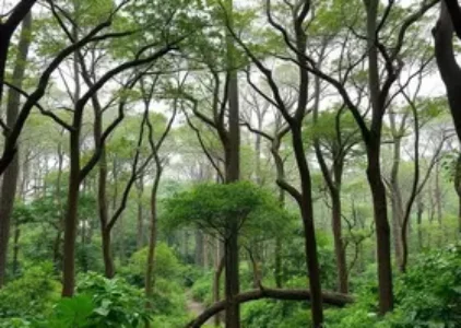 concessão de parques Taubaté