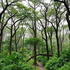 concessão de parques Taubaté