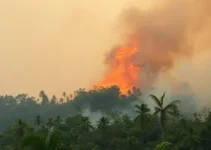 queimada em Taubaté