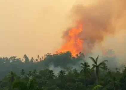 queimada em Taubaté