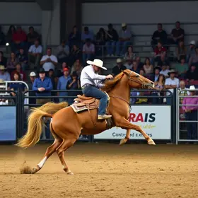 Taubaté Expo Rodeo 2026