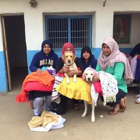 campanha de arrecadação de roupas e cobertores para animais
