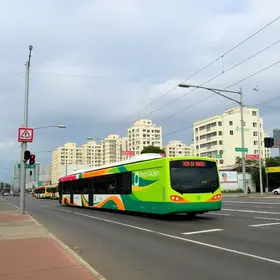 transporte público