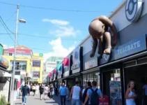 cultura geek