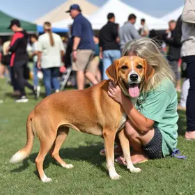feira de adoção de animais