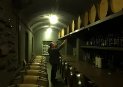 Últimas notícias de Taubaté