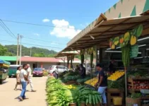 Oba Hortifruti