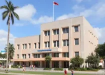 Educação Infantil