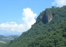 Suzano abre vagas de trabalho