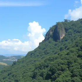 Suzano abre vagas de trabalho