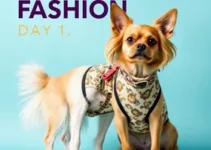 Dog Fashion Day