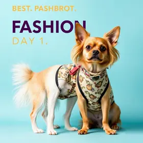 Dog Fashion Day