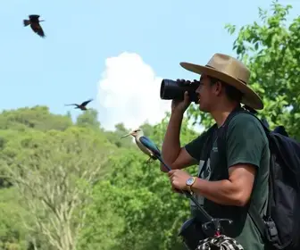 avistamento de aves